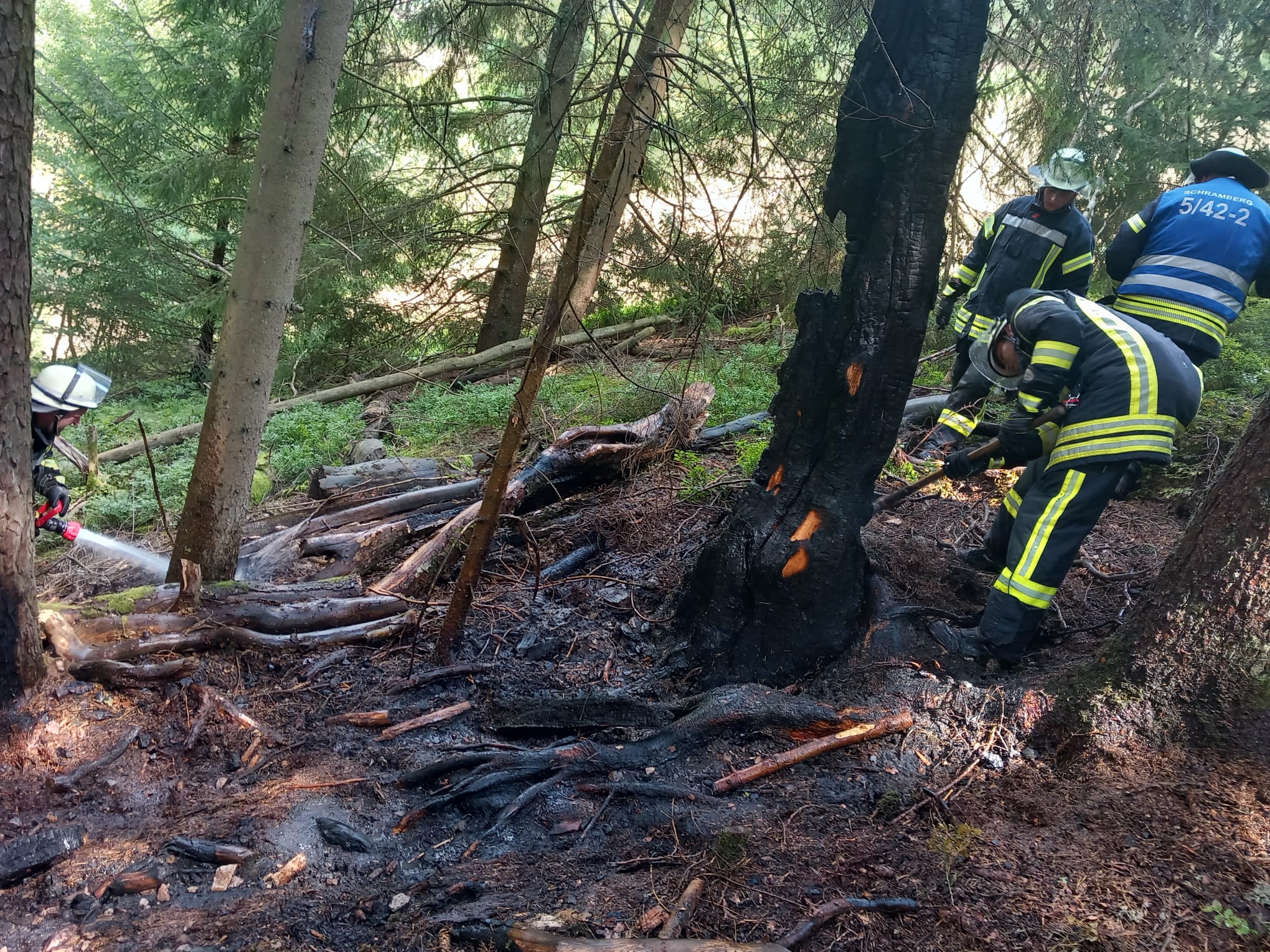 14.08.2023 - B1 - Brand Baum nach Blitzeinschlag